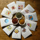 Kylemore Acres Spices